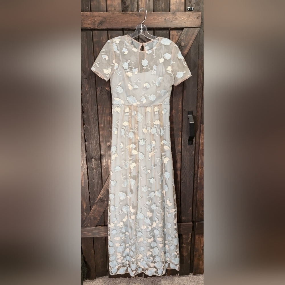 Brigerton vibes, BCBG Maxazaria, size 8